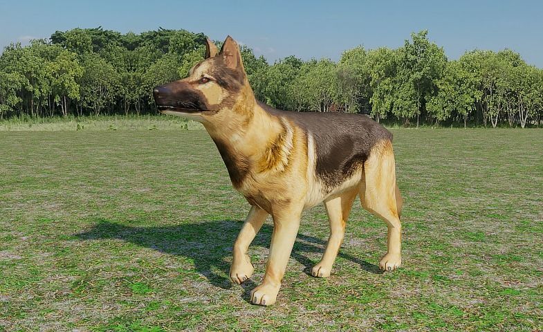 German Shepherd Low-poly 3D model_7