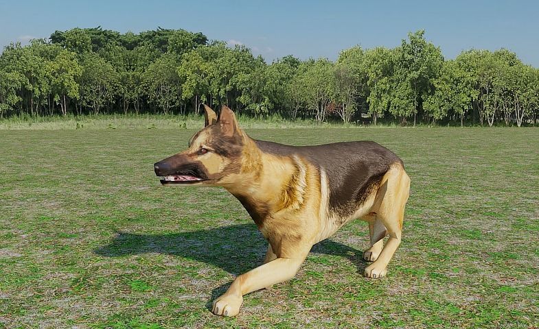 German Shepherd Low-poly 3D model_2