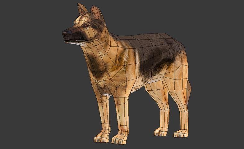 German Shepherd Low-poly 3D model_10