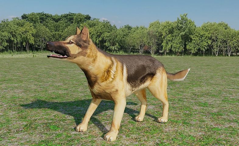 German Shepherd Low-poly 3D model_6