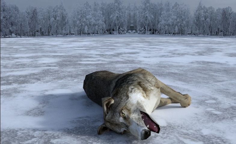 Gray Wolf Low-poly 3D model_4