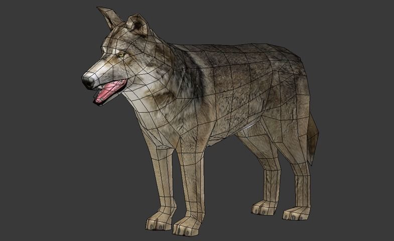 Gray Wolf Low-poly 3D model_6