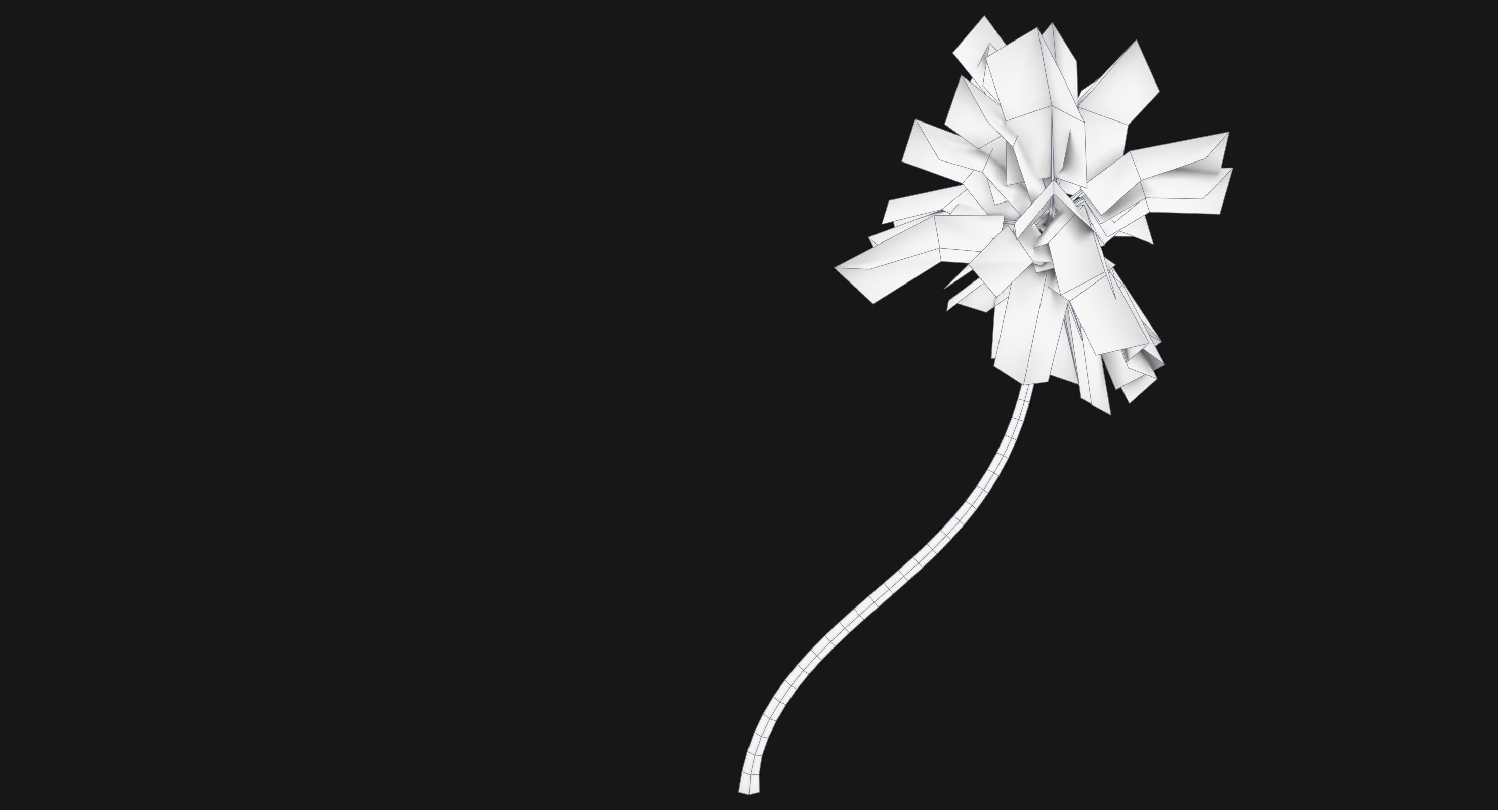 Coconut Palm Tree 11214 Low-poly 3D model_8