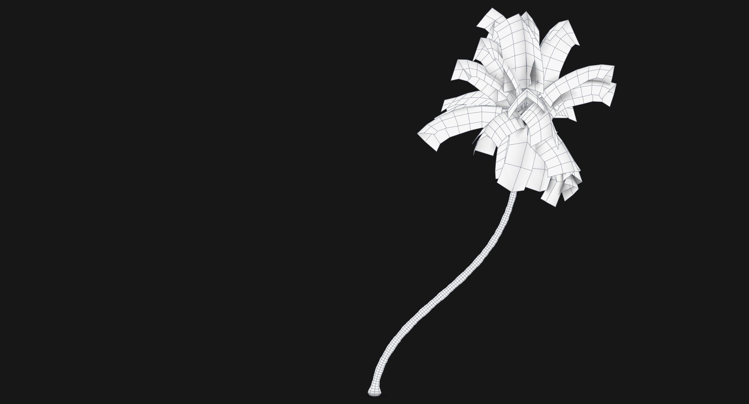 Coconut Palm Tree 11214 Low-poly 3D model_6