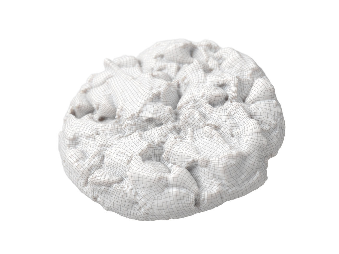 Photorealistic Cookie 3D Scan 3D model_8