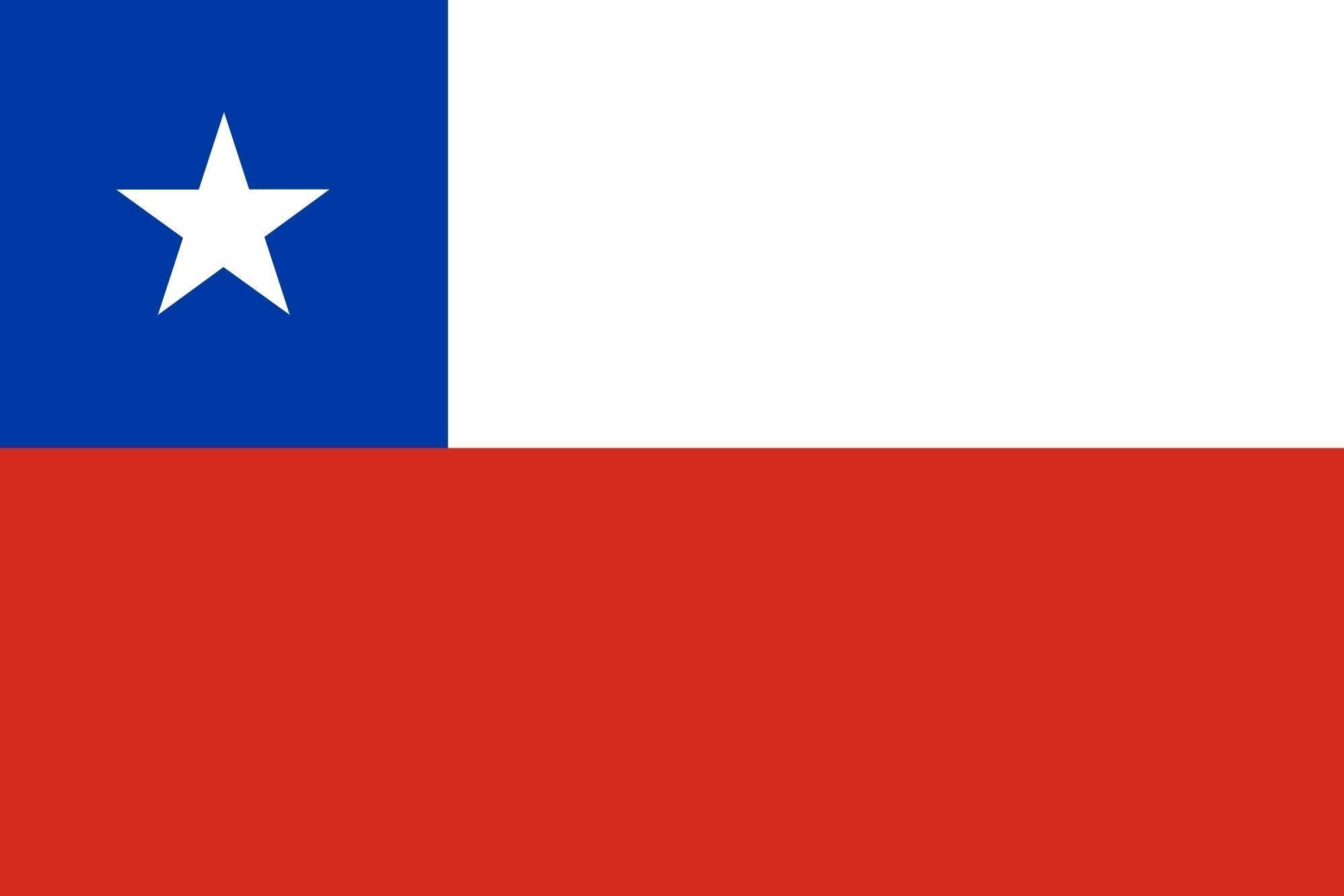 Chile flag on a pole 3D model_14