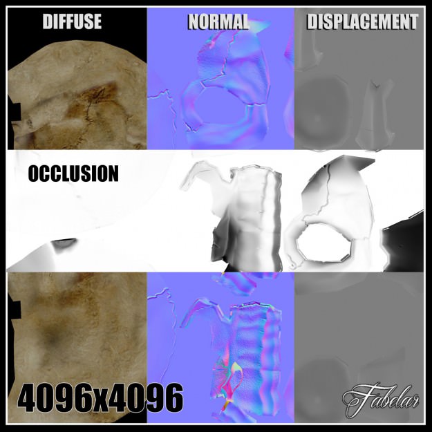 Human skull Vray 3D model_10