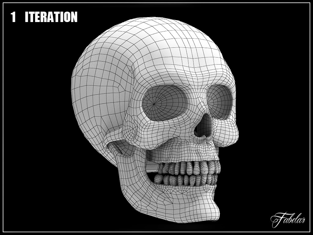 Human skull Vray 3D model_11