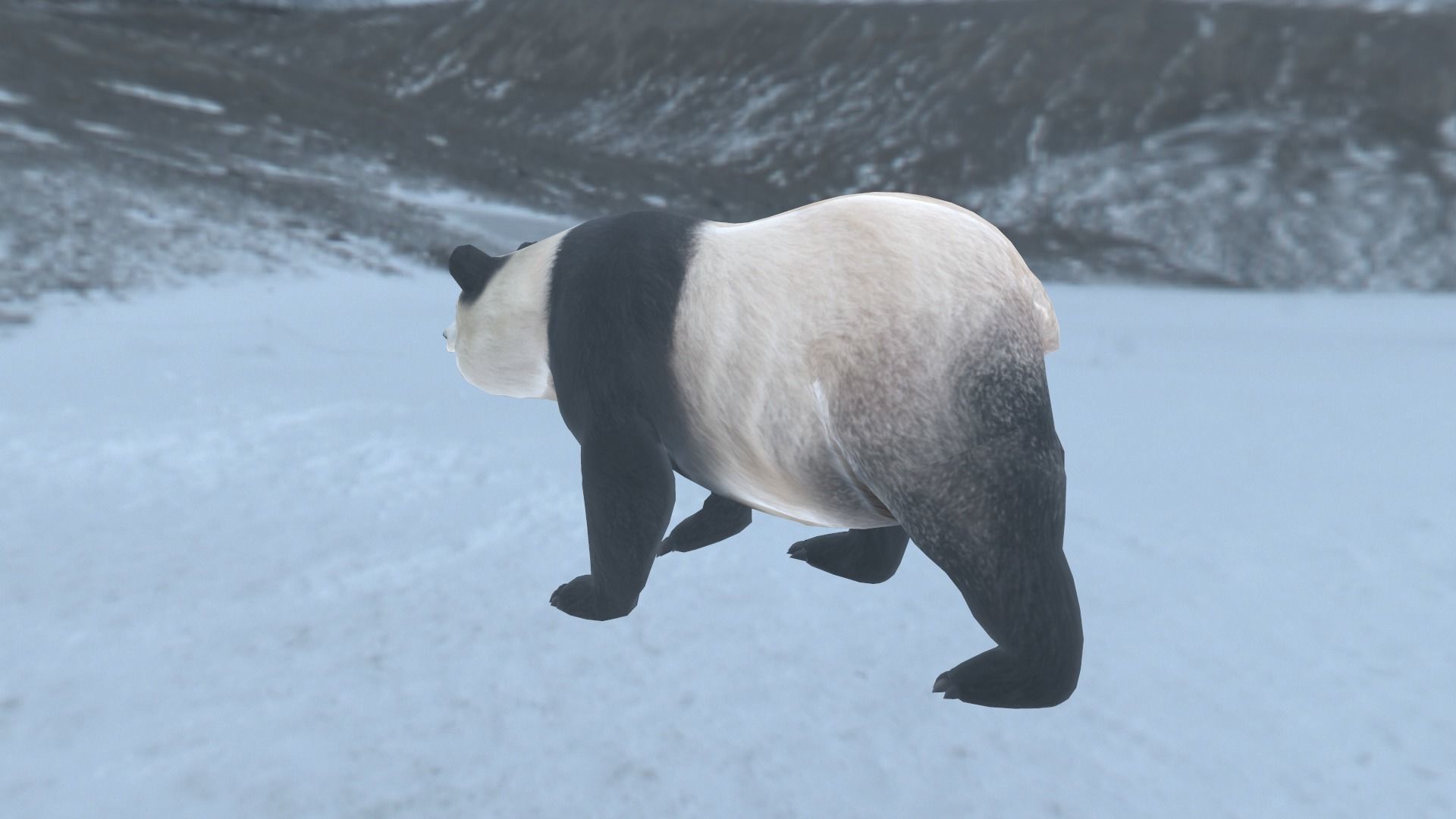Panda bear in snow Low-poly 3D model_4