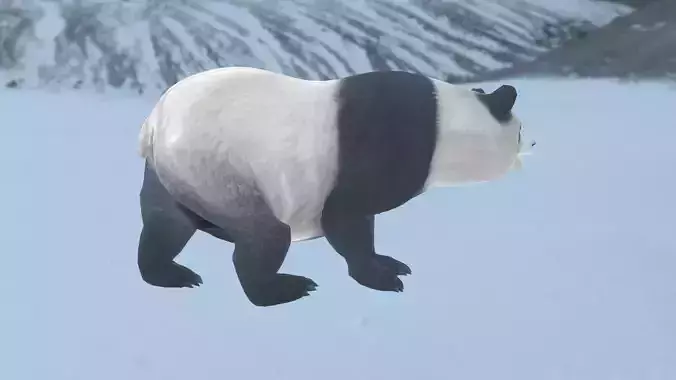 Panda bear in snow Low-poly 3D model