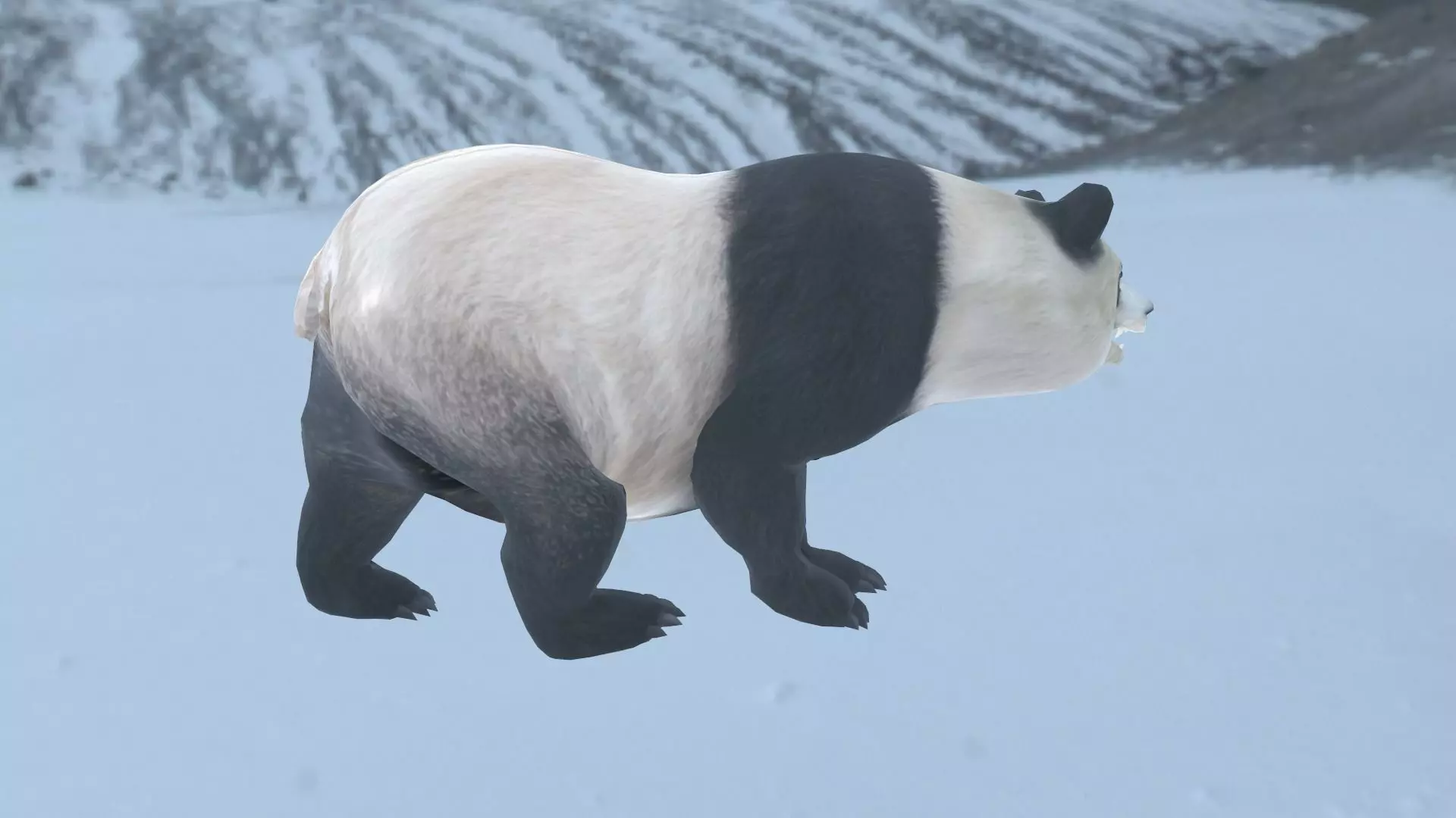 Panda bear in snow Low-poly 3D model_0
