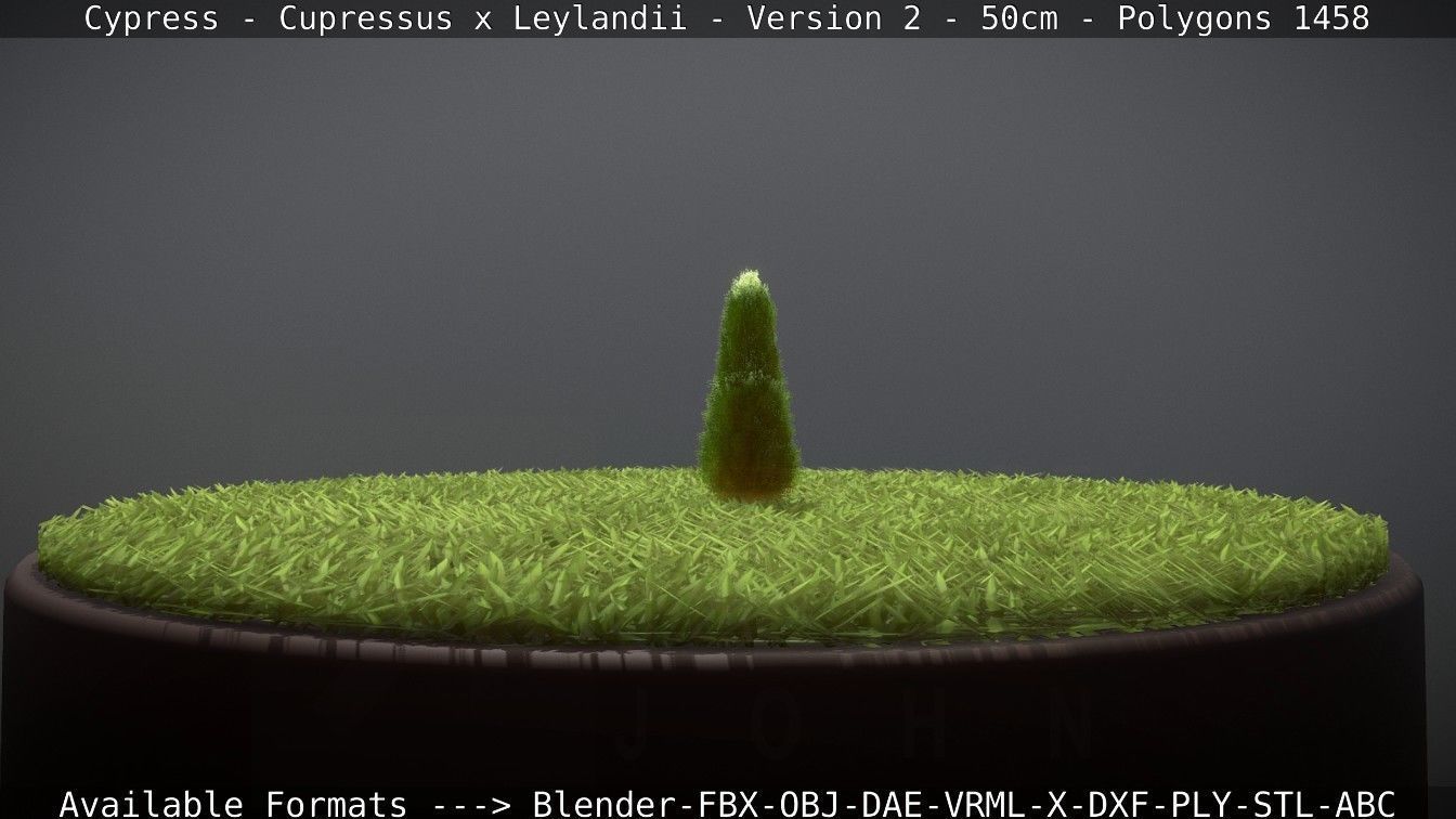Low-Poly Cypress - Cupressus x Leylandii - Version 2 - 50cm 3D model_98