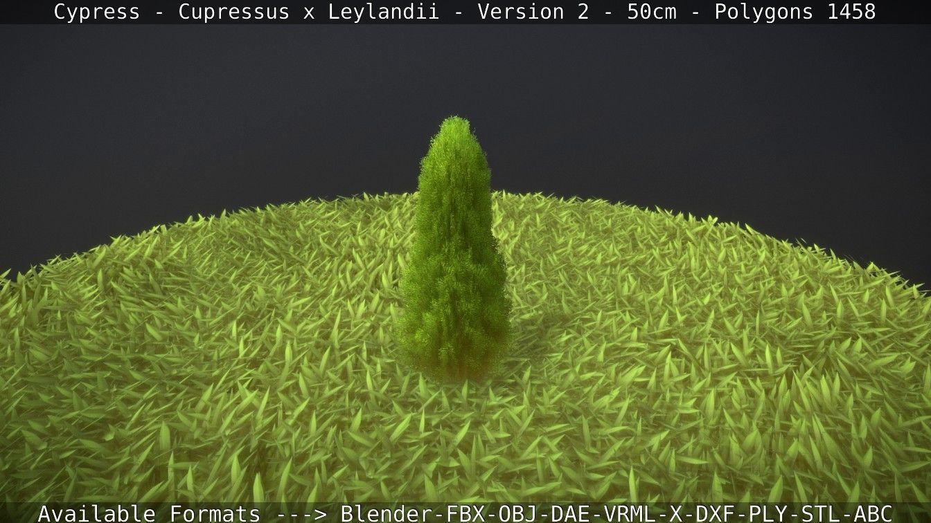 Low-Poly Cypress - Cupressus x Leylandii - Version 2 - 50cm 3D model_73