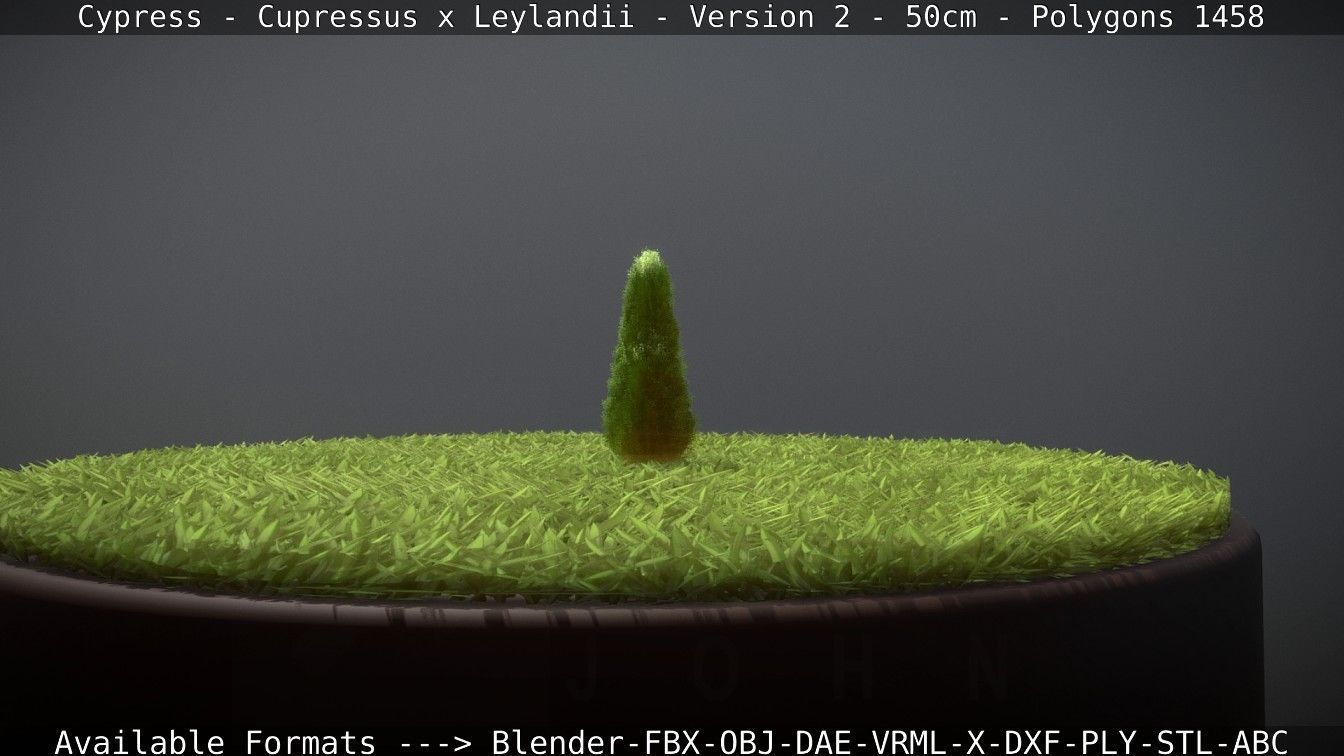 Low-Poly Cypress - Cupressus x Leylandii - Version 2 - 50cm 3D model_91