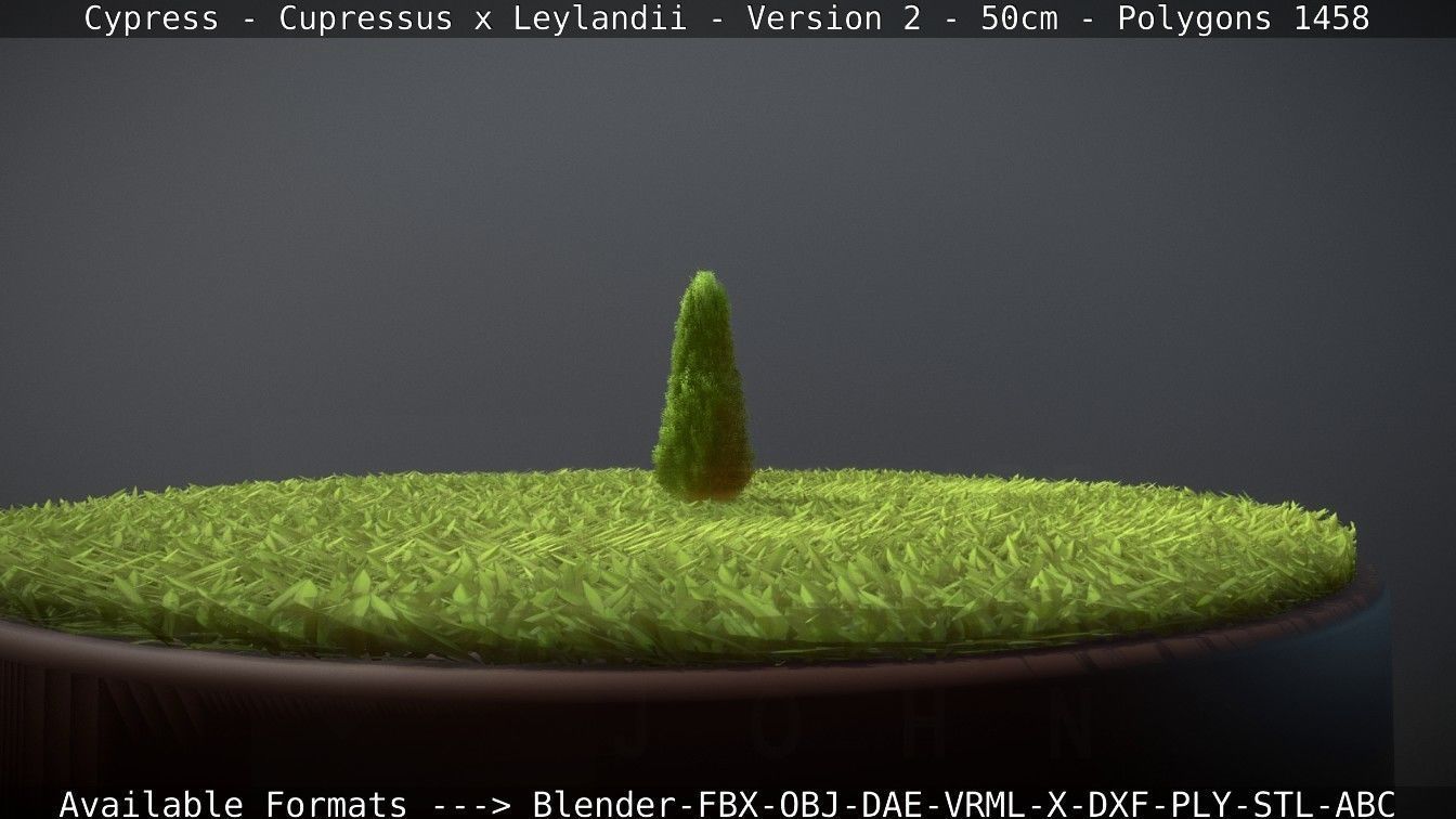 Low-Poly Cypress - Cupressus x Leylandii - Version 2 - 50cm 3D model_92