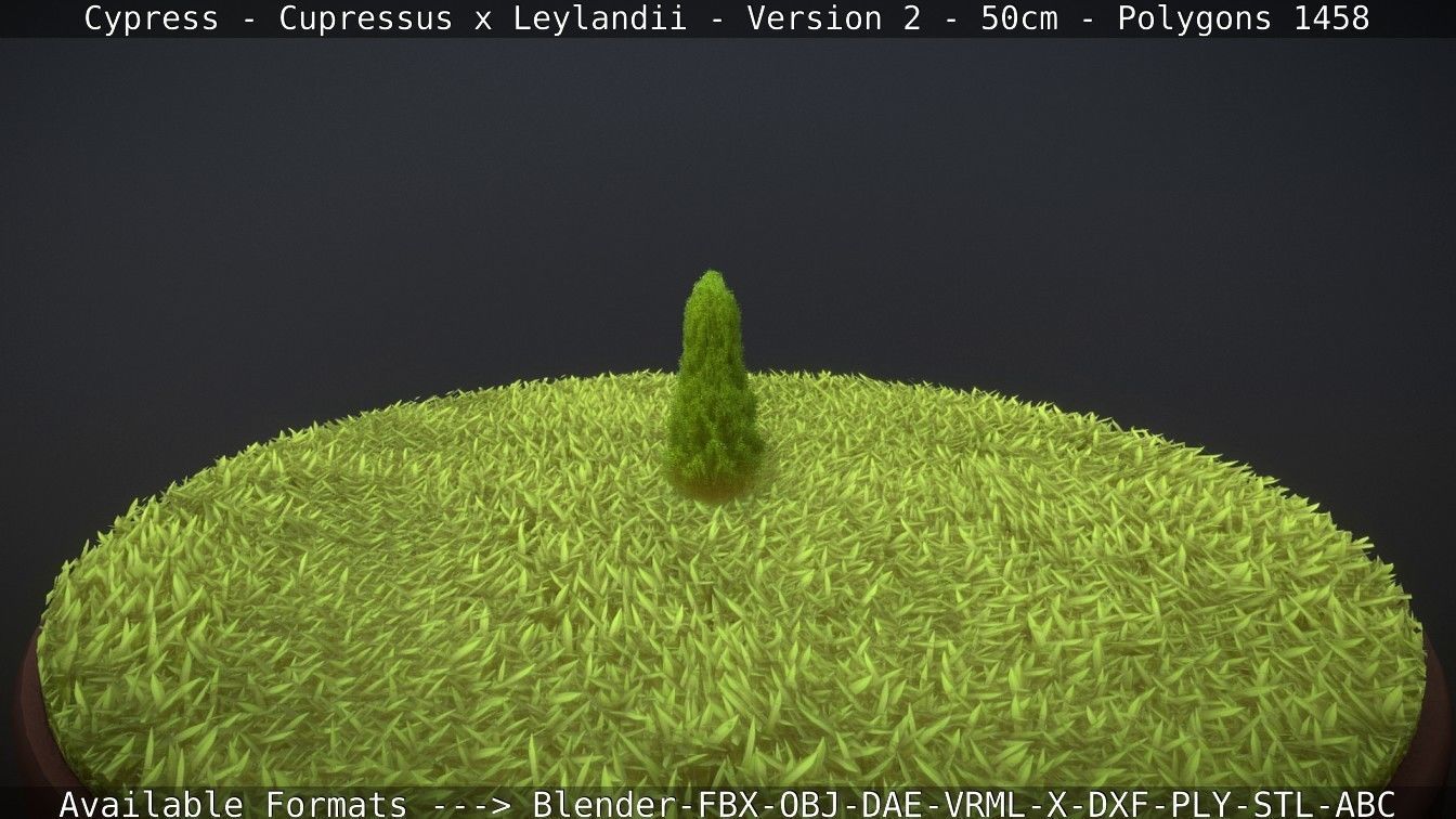 Low-Poly Cypress - Cupressus x Leylandii - Version 2 - 50cm 3D model_87