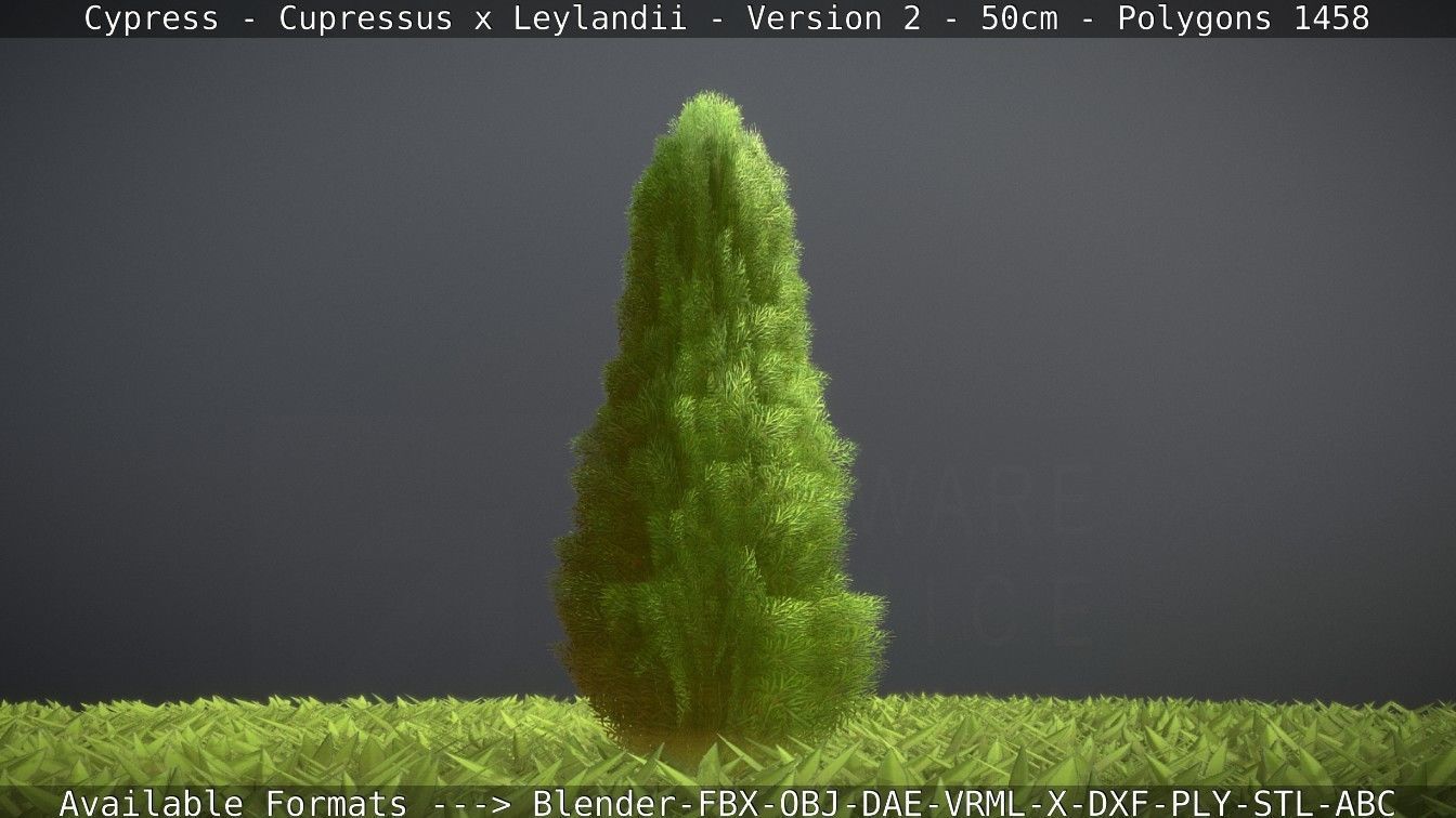 Low-Poly Cypress - Cupressus x Leylandii - Version 2 - 50cm 3D model_44