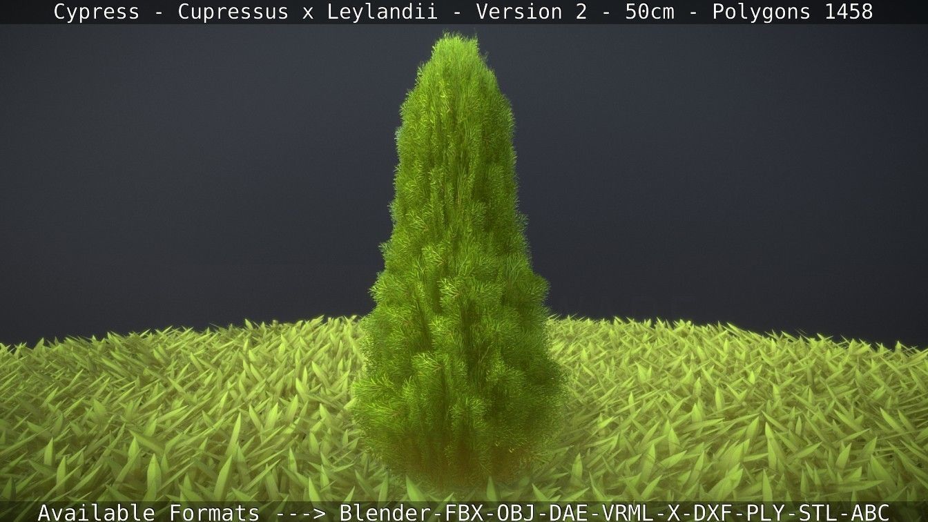Low-Poly Cypress - Cupressus x Leylandii - Version 2 - 50cm 3D model_48