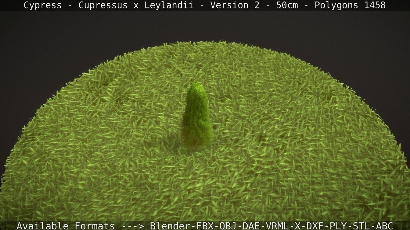 Low-Poly Cypress - Cupressus x Leylandii - Version 2 - 50cm 3D model_102
