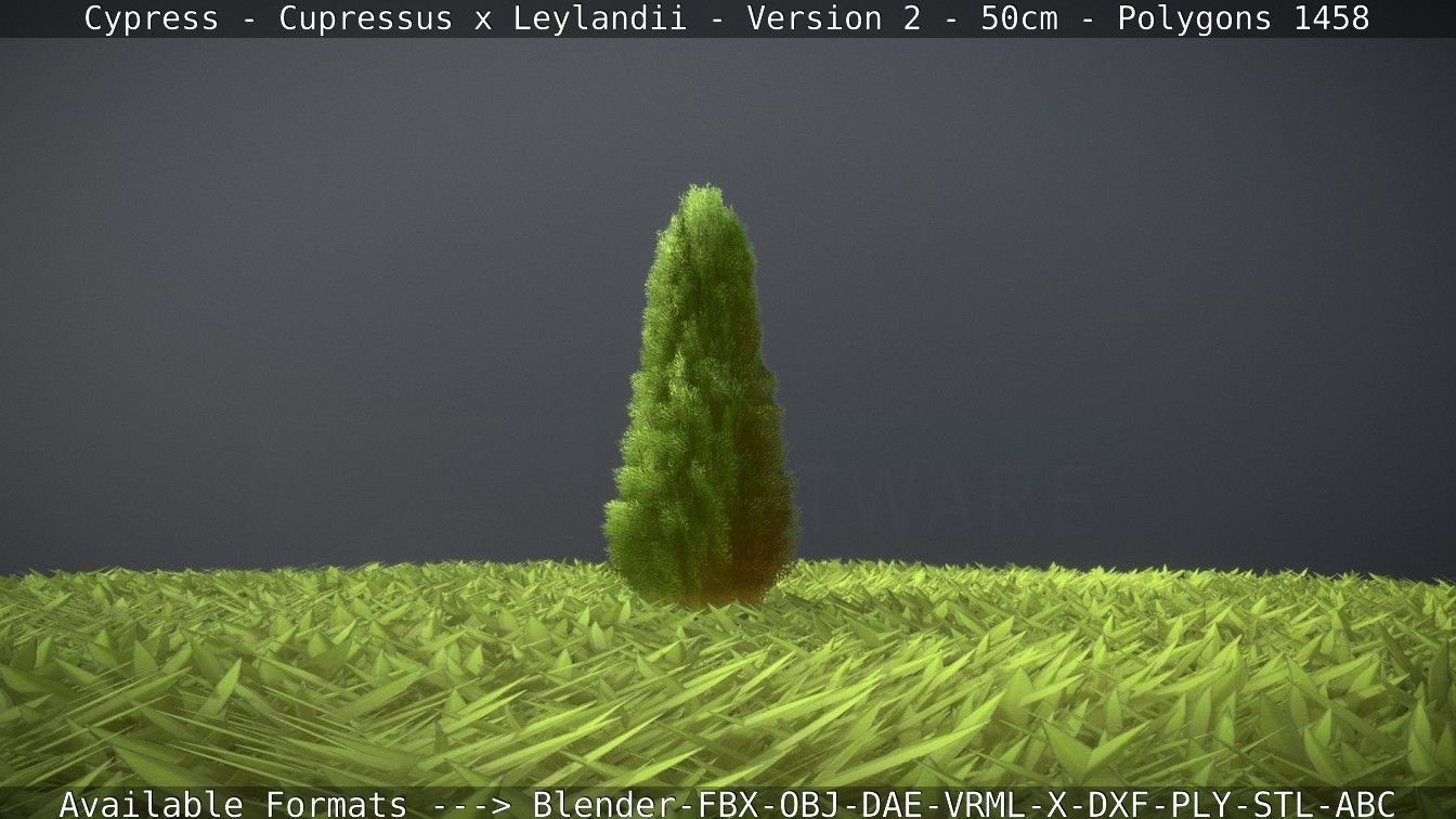Low-Poly Cypress - Cupressus x Leylandii - Version 2 - 50cm 3D model_58