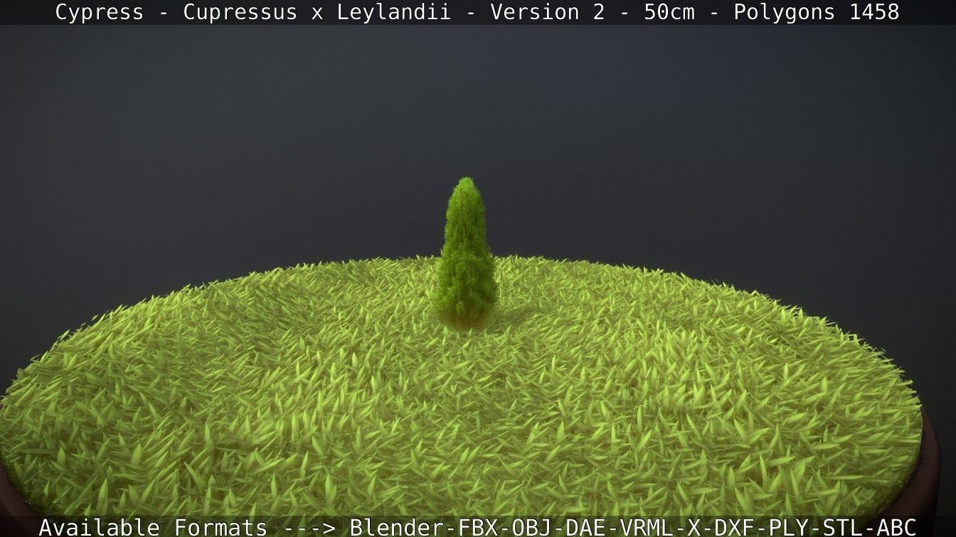 Low-Poly Cypress - Cupressus x Leylandii - Version 2 - 50cm 3D model_89