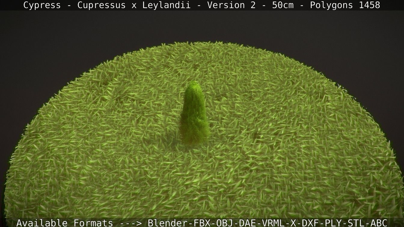 Low-Poly Cypress - Cupressus x Leylandii - Version 2 - 50cm 3D model_101