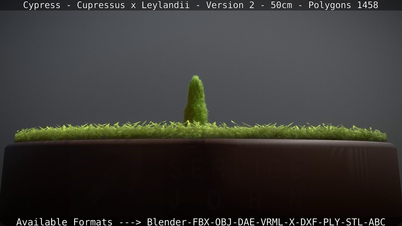 Low-Poly Cypress - Cupressus x Leylandii - Version 2 - 50cm 3D model_80