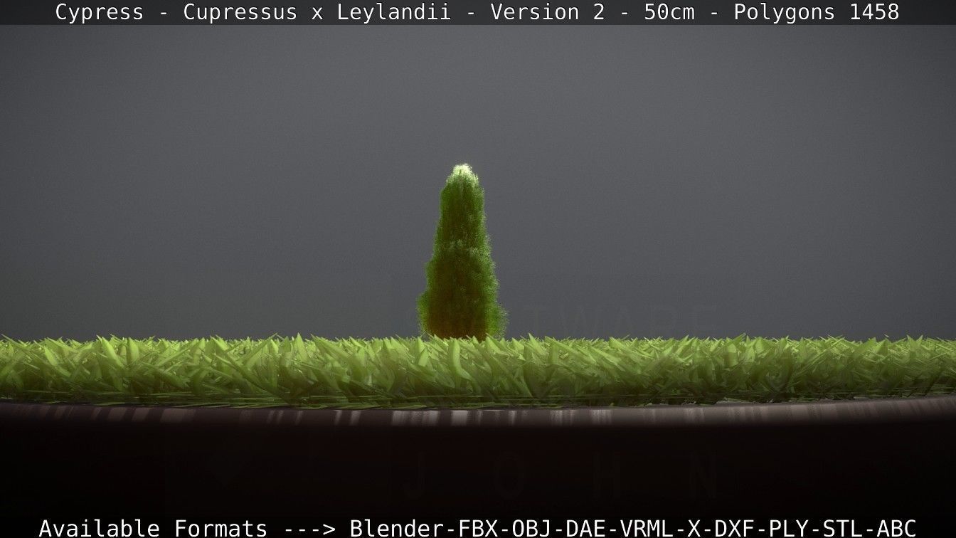 Low-Poly Cypress - Cupressus x Leylandii - Version 2 - 50cm 3D model_79