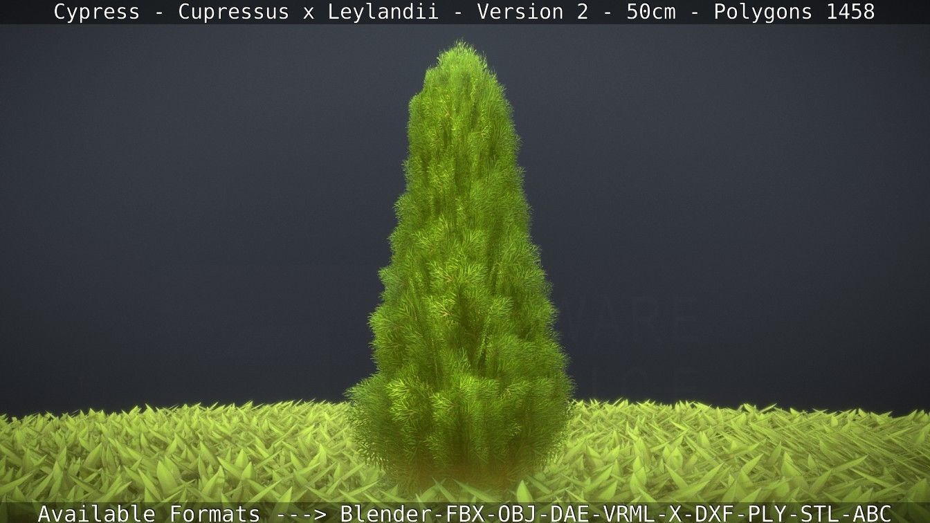 Low-Poly Cypress - Cupressus x Leylandii - Version 2 - 50cm 3D model_46