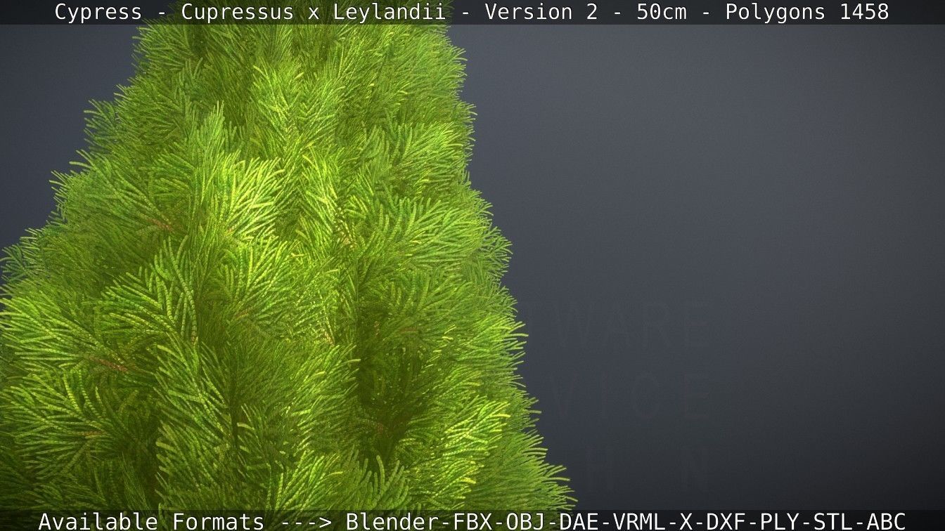 Low-Poly Cypress - Cupressus x Leylandii - Version 2 - 50cm 3D model_16