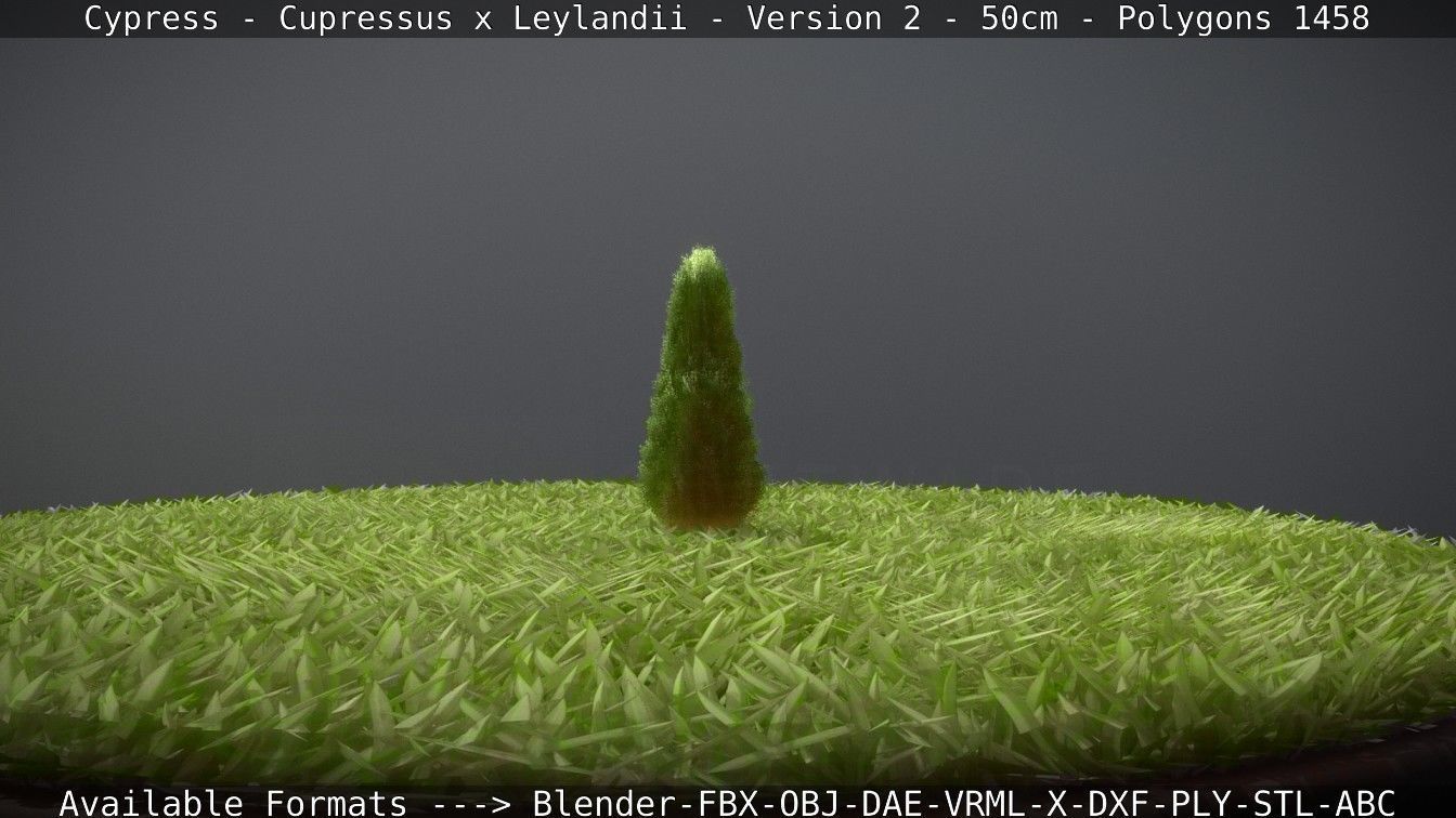 Low-Poly Cypress - Cupressus x Leylandii - Version 2 - 50cm 3D model_76