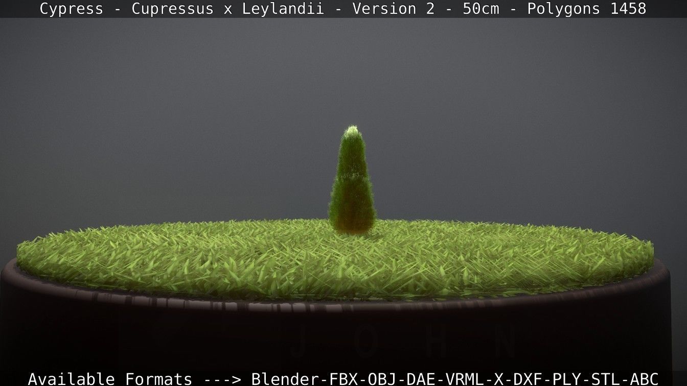 Low-Poly Cypress - Cupressus x Leylandii - Version 2 - 50cm 3D model_97