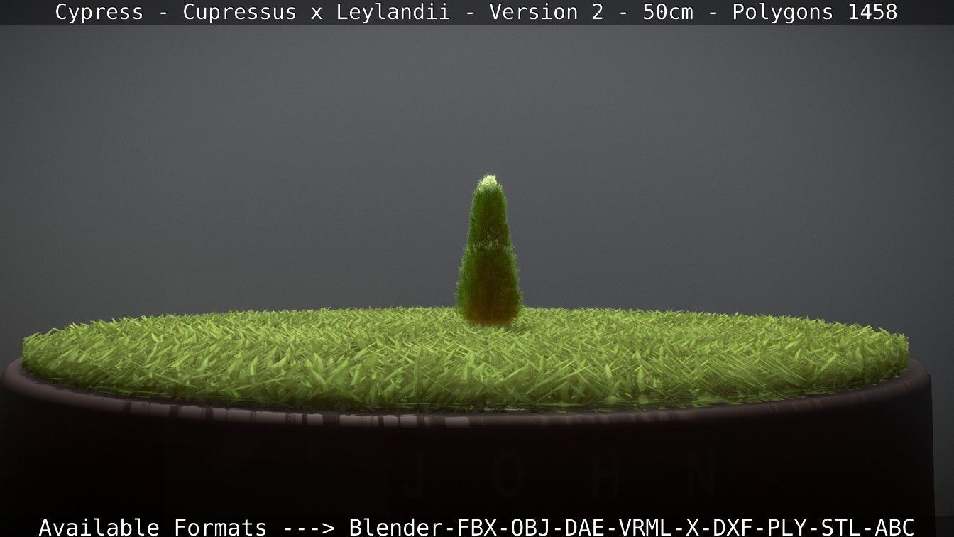 Low-Poly Cypress - Cupressus x Leylandii - Version 2 - 50cm 3D model_94