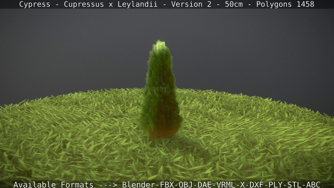 Low-Poly Cypress - Cupressus x Leylandii - Version 2 - 50cm 3D model_67