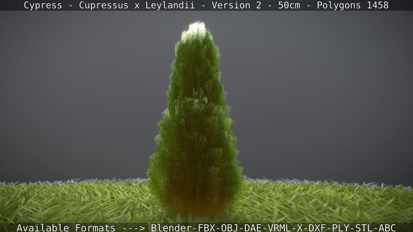 Low-Poly Cypress - Cupressus x Leylandii - Version 2 - 50cm 3D model_39