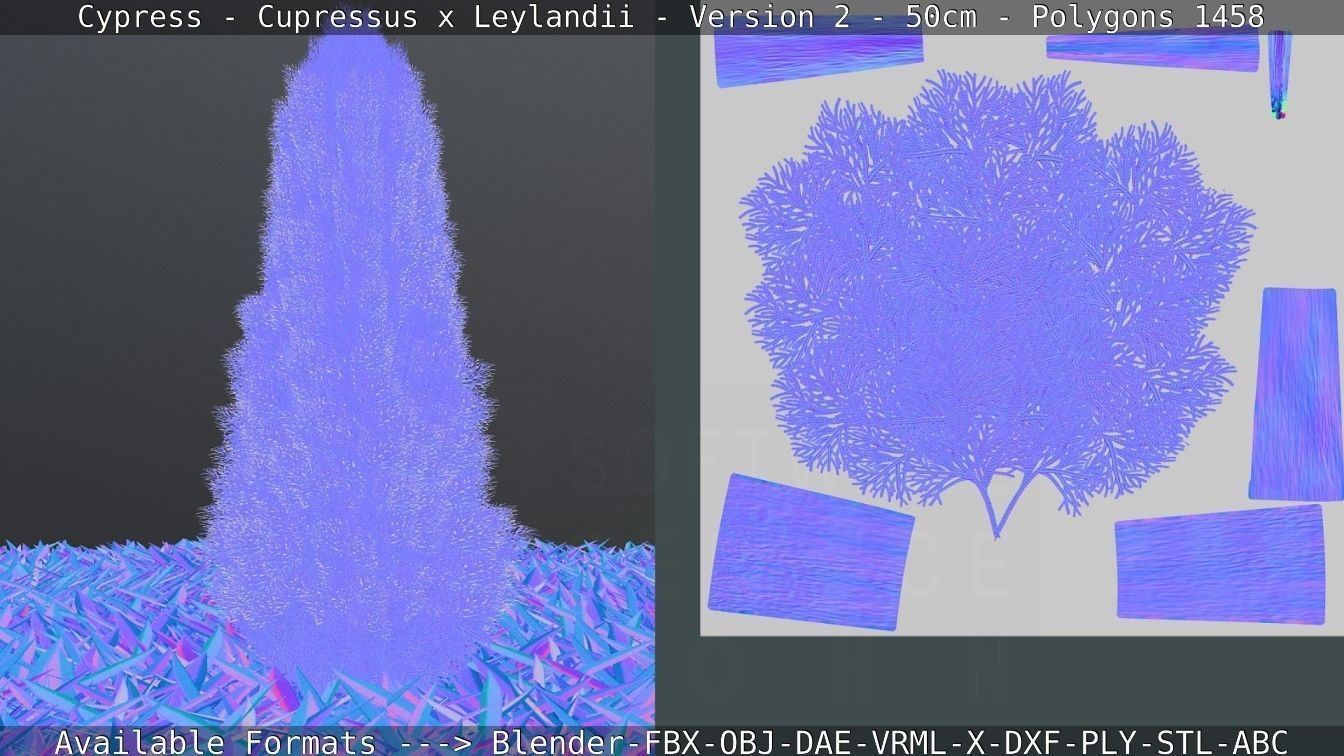 Low-Poly Cypress - Cupressus x Leylandii - Version 2 - 50cm 3D model_5