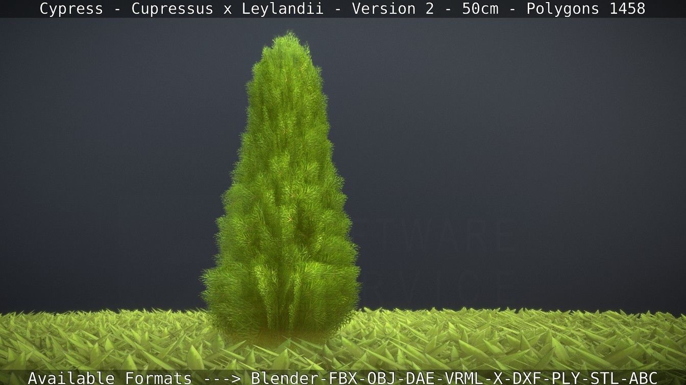 Low-Poly Cypress - Cupressus x Leylandii - Version 2 - 50cm 3D model_110