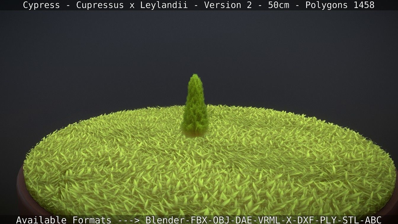 Low-Poly Cypress - Cupressus x Leylandii - Version 2 - 50cm 3D model_84