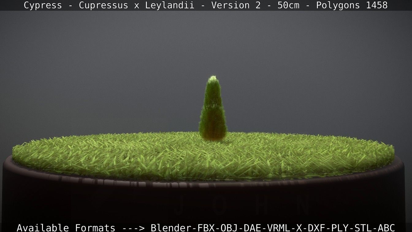 Low-Poly Cypress - Cupressus x Leylandii - Version 2 - 50cm 3D model_17