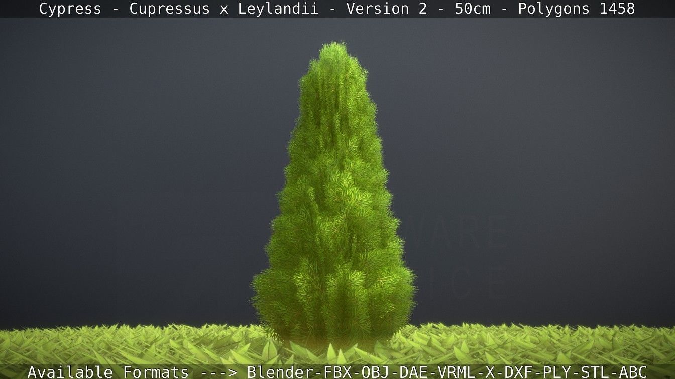 Low-Poly Cypress - Cupressus x Leylandii - Version 2 - 50cm 3D model_45
