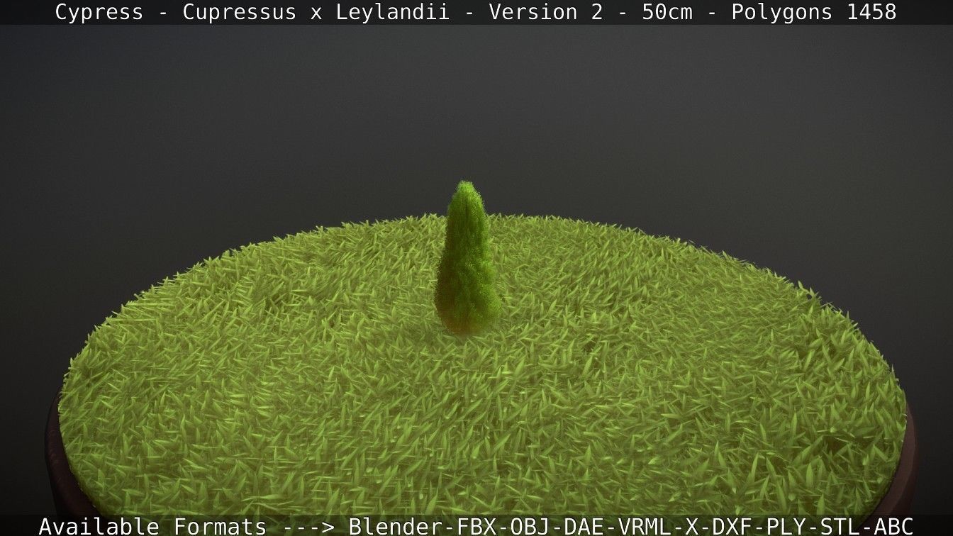 Low-Poly Cypress - Cupressus x Leylandii - Version 2 - 50cm 3D model_99