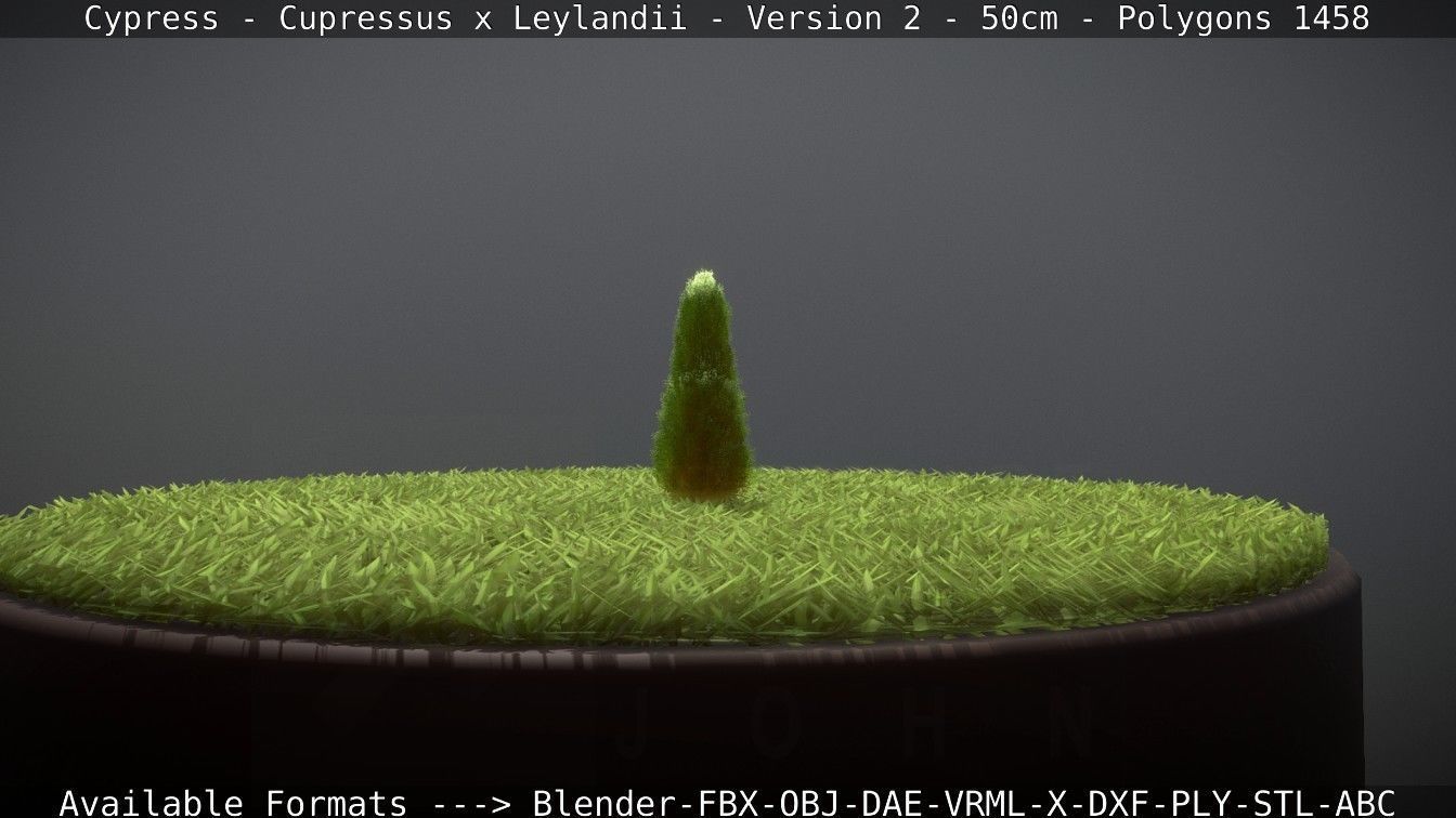 Low-Poly Cypress - Cupressus x Leylandii - Version 2 - 50cm 3D model_90