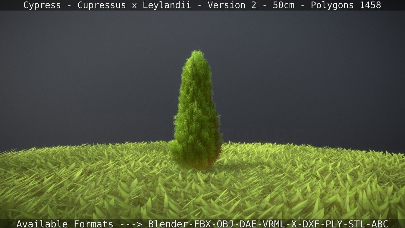 Low-Poly Cypress - Cupressus x Leylandii - Version 2 - 50cm 3D model_61