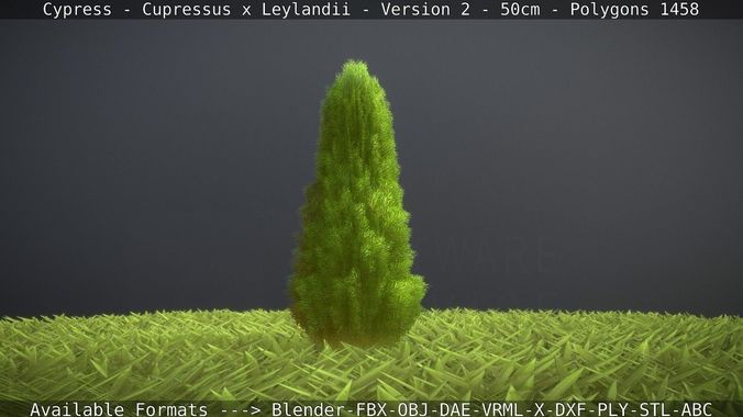 Low-Poly Cypress - Cupressus x Leylandii - Version 2 - 50cm 3D model