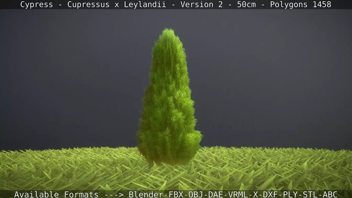 Low-Poly Cypress - Cupressus x Leylandii - Version 2 - 50cm 3D model_0