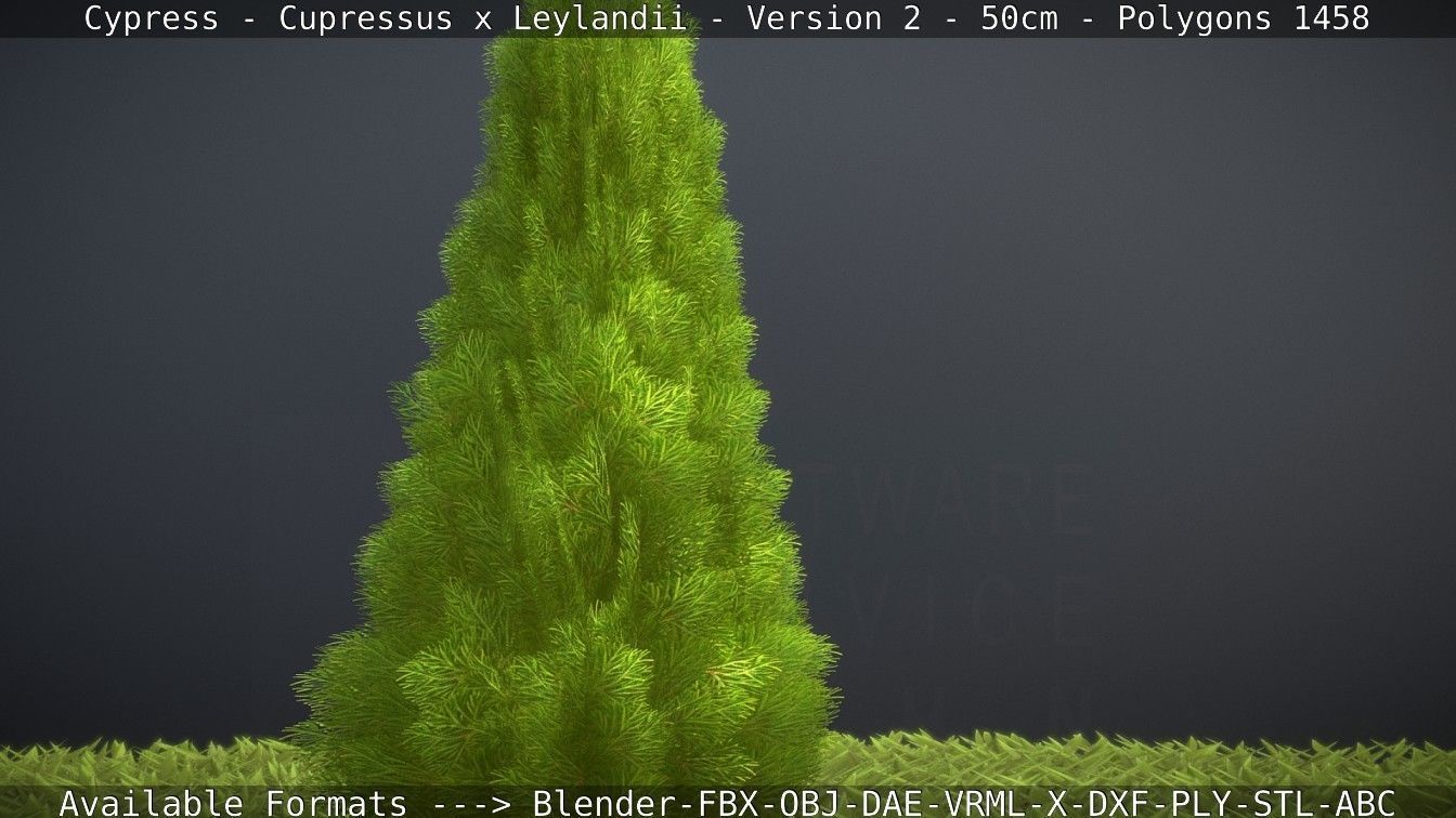 Low-Poly Cypress - Cupressus x Leylandii - Version 2 - 50cm 3D model_111