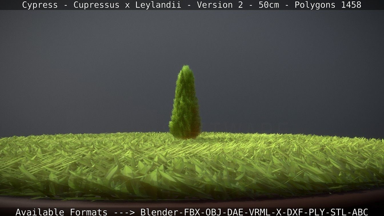 Low-Poly Cypress - Cupressus x Leylandii - Version 2 - 50cm 3D model_78