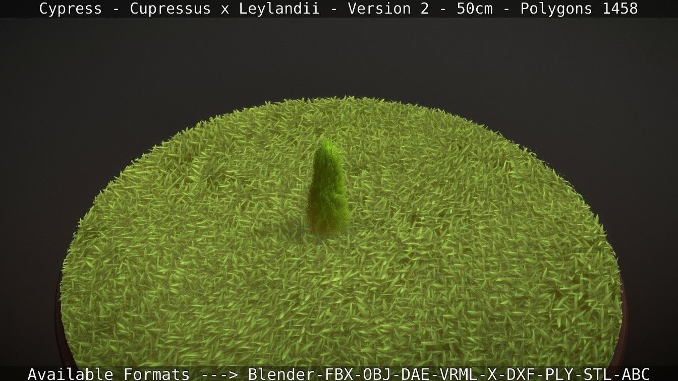 Low-Poly Cypress - Cupressus x Leylandii - Version 2 - 50cm 3D model_104