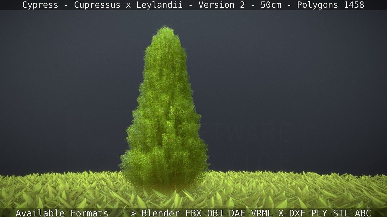 Low-Poly Cypress - Cupressus x Leylandii - Version 2 - 50cm 3D model_108