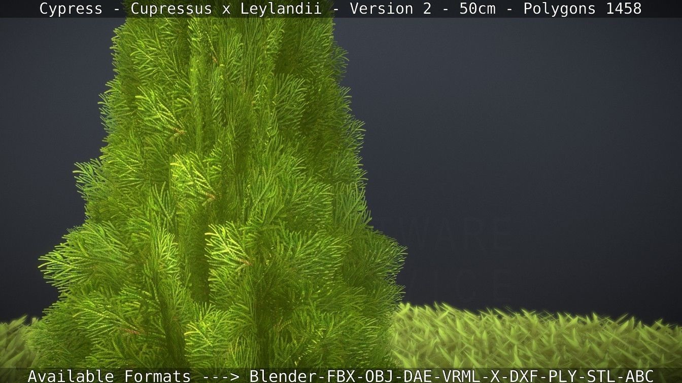 Low-Poly Cypress - Cupressus x Leylandii - Version 2 - 50cm 3D model_119